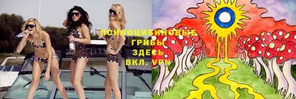ГАЛЛЮЦИНОГЕННЫЕ ГРИБЫ Баксан