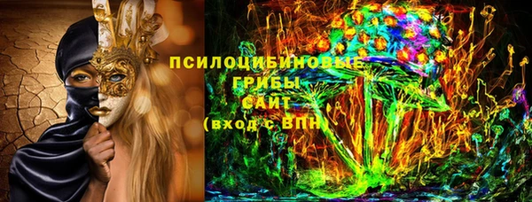 дурь Алексин